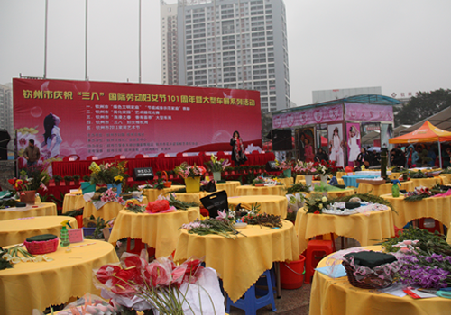 妇委会组队参加钦州市“艺术插花”比赛荣获特等奖