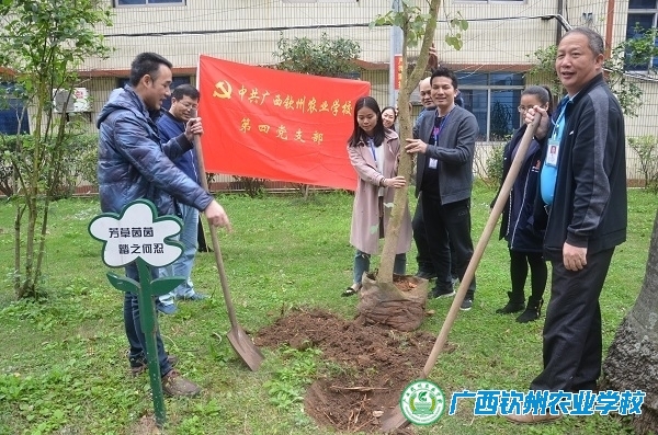 第四党支部开展“党旗红  校园绿”植树活动