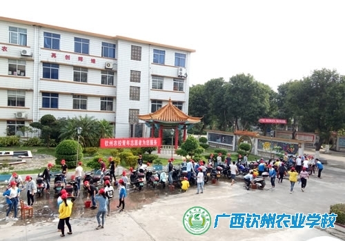 雷锋精神永相传 志愿服务暖三月