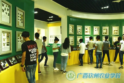 科普让生活更加便利，艺术让生活更加多姿——广西钦州农业学校职业教育体验之科普篇