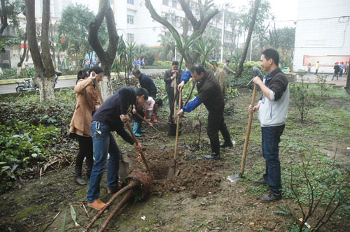 拥抱春天  播种绿色