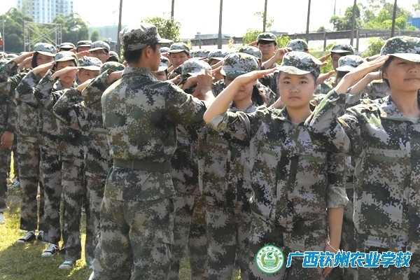 跃跃欲试展身姿——我校2017级新生军训系列报道之三