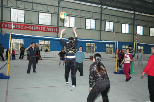 我校2014年春季学期教职工气排球比赛圆满结束