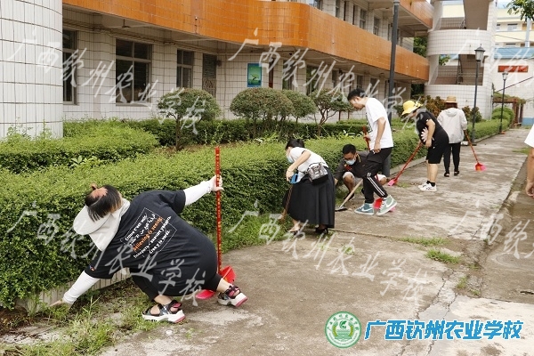 全体教师齐动手•打扫卫生迎开学——我校开展全体教职工大扫除活动