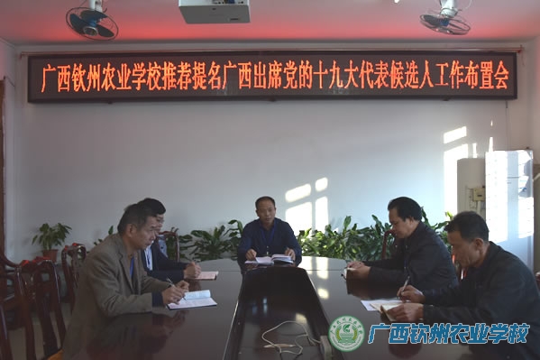 学校党委部署推荐提名我区出席党的十九大代表候选人工作