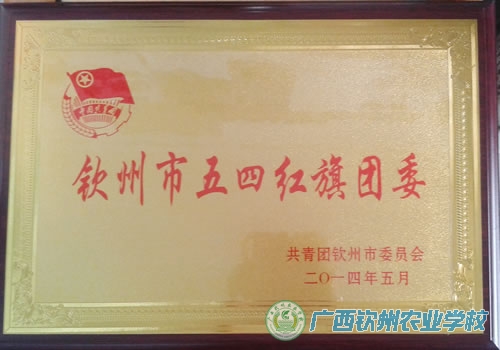 校团委喜获2013年度“钦州市五四红旗团委”称号