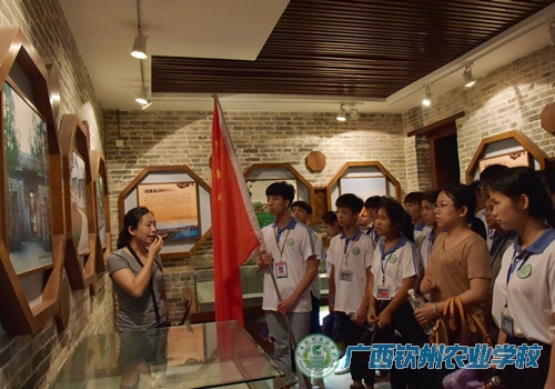 我校团委开展“主题团日+爱国主义教育”活动