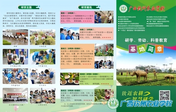喜报：热烈祝贺我校被评为“钦州市中小学生研学实践教育先进集体”