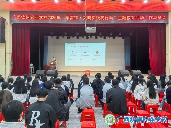 团委组织召开“学雷锋·文明实践我行动”主题教育活动工作动员会