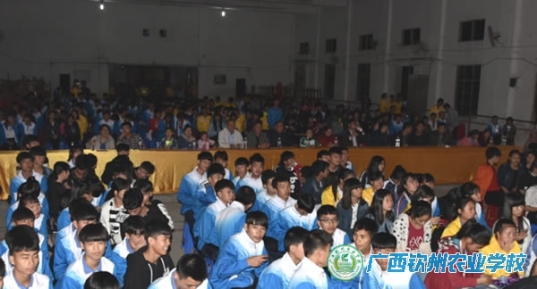 我校团委举办庆祝元旦学生社团联合展演晚会