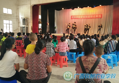 我校举行学生社团联合展演