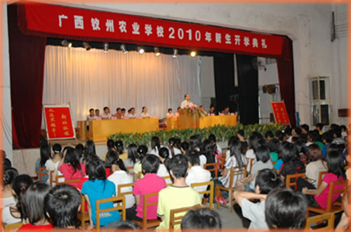 我校隆重举行2010级新生开学典礼