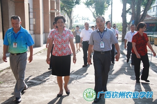 钦州市政协调研组到我校开展专题调研活动