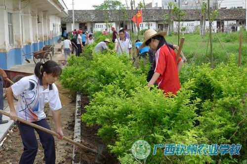 铭记党恩  共叙党情—钦州农校开展庆七一•党员奉献日活动