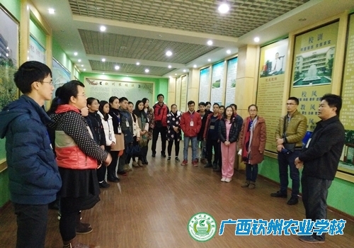 我校开展“深入学习党的十九大精神，提高青年教工凝聚力” 主题活动