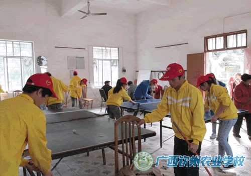 我校志愿者开展“国际志愿者日”主题志愿服务活动