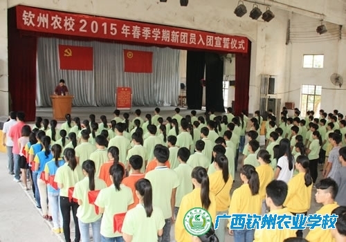 我校举行新团员入团宣誓仪式