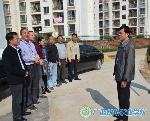 我校汽车运用与维修专业驾驶技术实训场建成启用