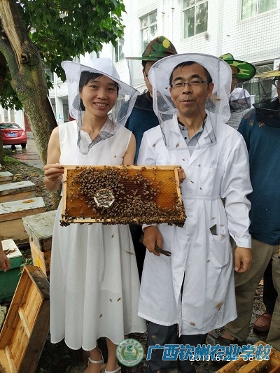 加大养蜂教师培养力度 促进蜂蜜产业发展