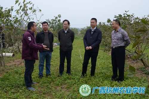 自治区水库移民工作管理局调研组到我校开展工作调研