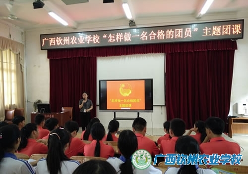我校举行“怎样做一名合格团员”主题团课