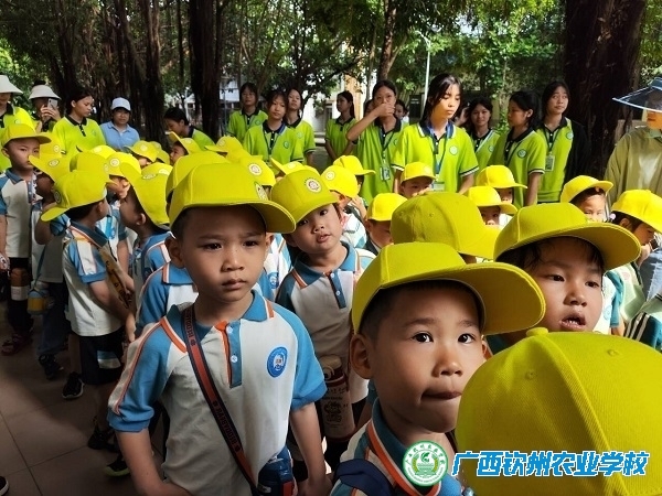 携手同行 共育成长 ——钦州市实验幼儿园到我校开展研学教育活动