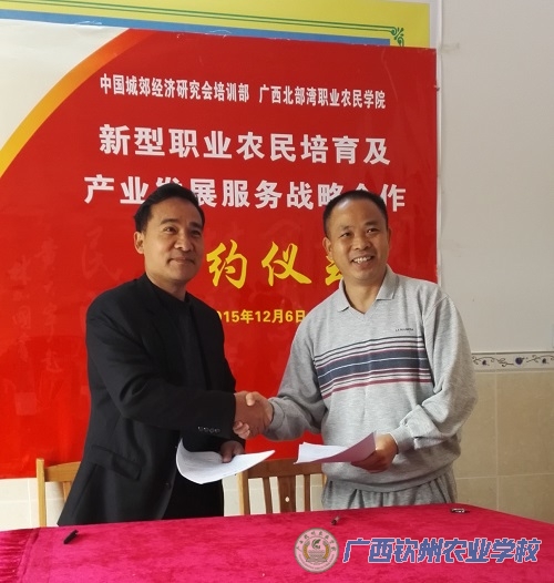 我校伍国樑校长一行赴横县参加“三农异彩工程”座谈会