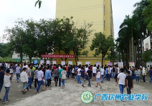 缤纷社团  火热招新——我校学生社团举行2015级新生招募活动