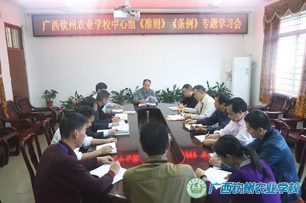 党委中心组集体学习《关于新形势下党内政治生活的若干准则》