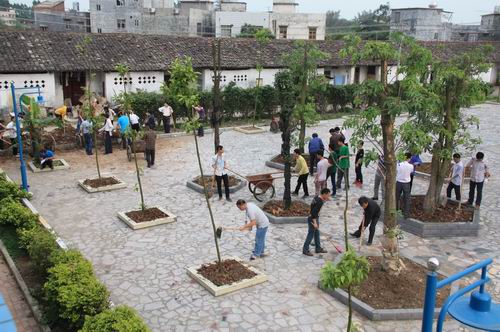 我校教职工开展植树活动
