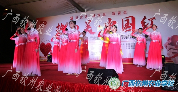 热血美•中国红——我校青年志愿者参加钦州市无偿献血志愿者协会表彰庆典晚会