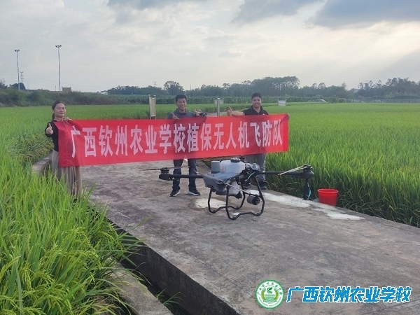 匠心护航乡村振兴，成就水稻丰收新梦想