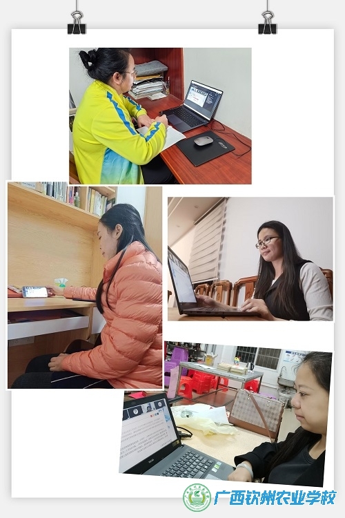 名师指导 促进成长——我校自治区级小荷班主任工作室组织班主任参加班主任能力比赛专题培训