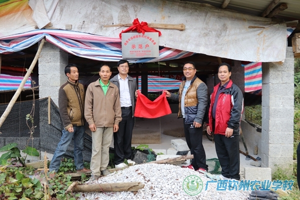 我校产业扶贫项目在靖西市扶贫点生根落地