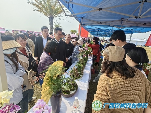 蚝美钦州 潮听河海：农校匠心花艺点亮蚝情节