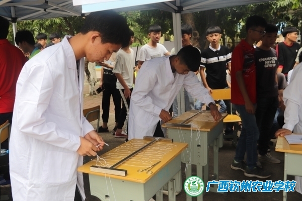 职业教育活动周系列报道之五——赛出技能水平 展示职教成果