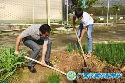 为绿色贡献力量，为校园增添色彩——广西钦州农业学校开展全员植树活动