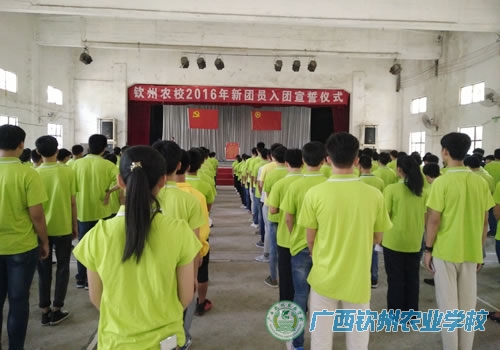 弘扬“五•四”精神，凝聚青春力量