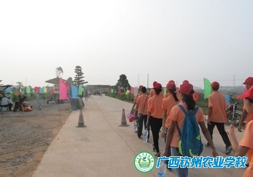 青年志愿者参与钦南区创建特色旅游名县志愿服务活动
