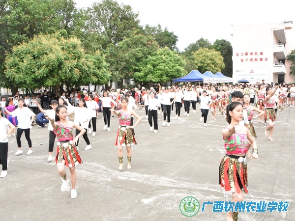 我校开展“传承壮乡情 走进三月三”民俗文化体验活动