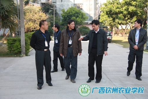 钦州市机关事务管理局和市直属机关工委联合组织检查组到我校进行环境卫生检查