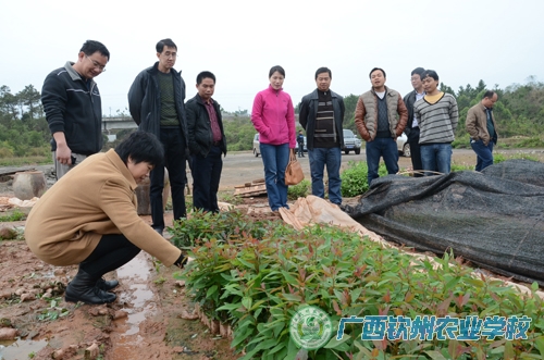 自治区水库移民工作管理局到我校考核验收2014年度水库移民培训项目