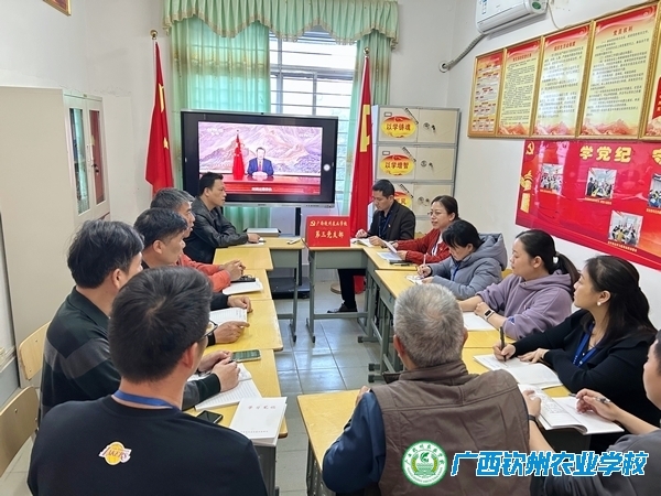 汲奋进之力，绘前行之图 ——我校第三党支部组织党员学习习近平主席二〇二五年新年贺词