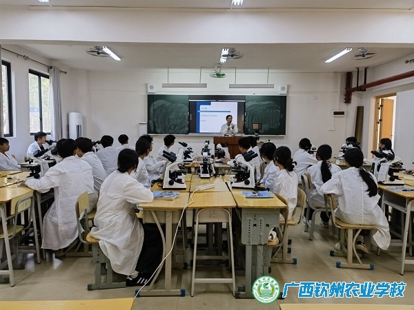 【党员教师示范课】示范引领展才思，公开课堂展风采——现代农业学部开展示范性公开课活动