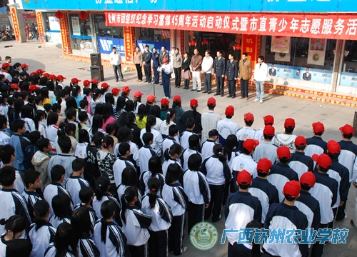 钦农青年志愿者参加钦州市直青少年学习雷锋45周年活动