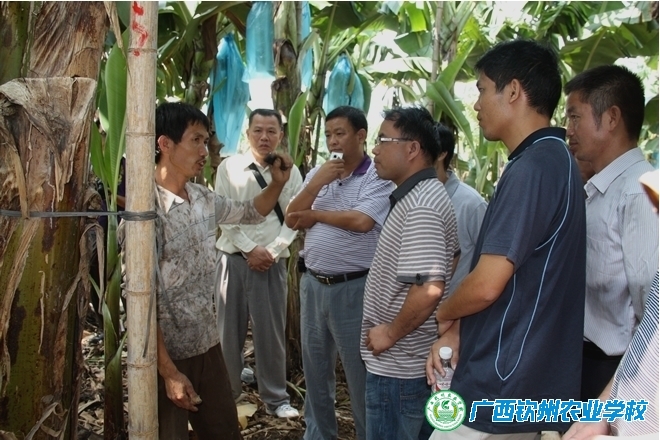 广西基层农技推广人员培训(重点班)参观考察剪影