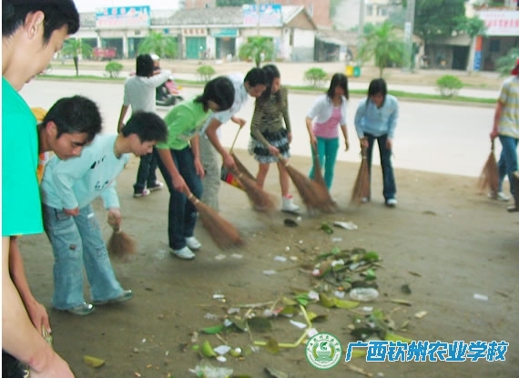 我校开展“学雷锋城乡清洁工程”