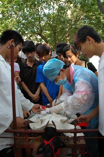 我校参加全国 “文明风采”竞赛成绩喜人