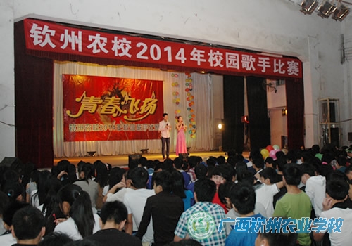 2014年校园歌手比赛圆满落幕