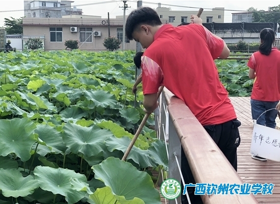 我奉献 我快乐！——2019年春季学期志愿服务活动报道